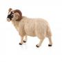 ANIMAL PLANET Farm Life Black Faced Sheep (Ram) Toy Figure, Three Years and Above, White (387081)