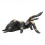 ANIMAL PLANET Wildlife & Woodland Red Kneed Tarantula Spider Toy Figure, Three Years and Above, Multi-colour (387213)