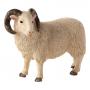 ANIMAL PLANET Farm Life Sheep (Ram) Toy Figure, Three Years and Above, White (387097)
