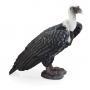 ANIMAL PLANET Wild Life & Woodland Griffon Vulture Toy Figure, Three Years and Above, Black/White (387165)