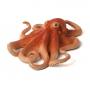 ANIMAL PLANET Mojo Sealife Octopus  Toy Figure, Three Years and Above, Orange (387275)