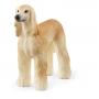 SCHLEICH Farm World Afghan Hound Greyhound Toy Figure, 3 to 8 Years, Tan (13938)