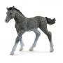 SCHLEICH Horse Club Trakehner Foal Toy Figure, 3 to 8 Years, Grey (13944)