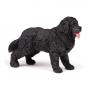 PAPO Dog and Cat Companions Newfoundland Toy Figure, 3 Years or Above, Black (54018)