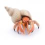 PAPO Marine Life Hermit Crab Toy Figure, 3 Years or Above, Orange (56054)