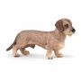 PAPO Dog and Cat Companions Dachshund Toy Figure, 3 Years or Above, Brown (54043)