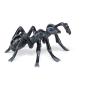 PAPO Wild Animal Kingdom Ant Toy Figure, 3 Years or Above, Black (50267)