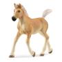 SCHLEICH Horse Club Haflinger Foal Toy Figure, 5 to 12 Years, Tan (13951)