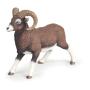 PAPO Wild Animal Kingdom Mouflon Toy Figure, Three Years and Above, Brown (53018)