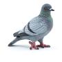 PAPO Wild Life in the Garden Pigeon Toy Figure, Three Years and Above, Grey (50295)