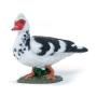 PAPO Farmyard Friends Domestic Muscovy Duck Toy Figure, Ten Months and Above, White/Black (51189)