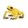 PAPO Wild Animal Kingdom Yellow Equatorial Frog Toy Figure, 3 Years or Above, Yellow (50174)