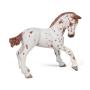 PAPO Horse and Ponies Brown Appaloosa Foal Toy Figure, 3 Years or Above, Brown/White (51510)
