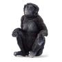 SCHLEICH Wild Life Bonobo Female Toy Figure, 3 to 8 Years, Black (14875)