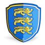 PAPO Lion Knight Shield Foam Toy, 3 to 8 Years, Blue/Yellow (20002)
