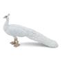 PAPO Farmyard Friends White Peacock Toy Figure (51192)