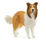 SCHLEICH Farm World Collie Toy Figure (13998)