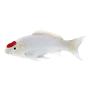 MOJO Wildlife & Woodland Koi Carp Tancho Koi (Red Dot) Toy Figure (381101)