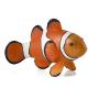 MOJO Sealife Clown Fish Toy Figure (387090)